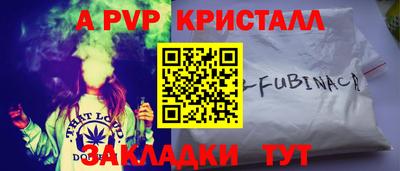 гашик Будённовск