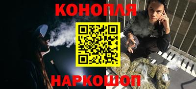гашик Будённовск