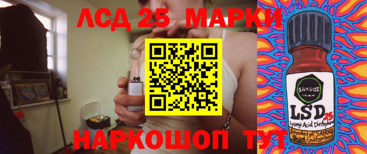 блэк спрут ссылка  Вход с VPN  ЛСД экстази кислота  Курчалой  Лсд 25 экстази кислота 