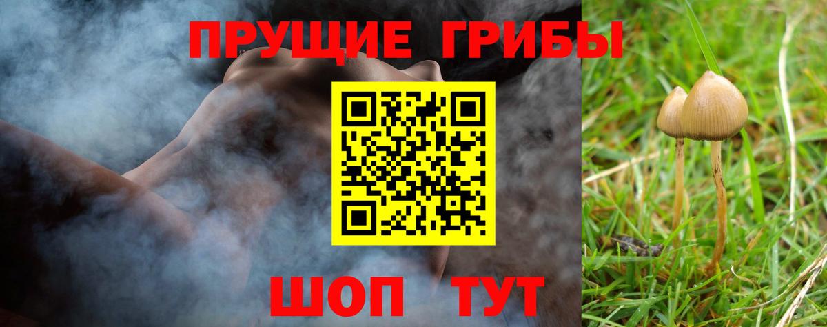 Галлюциногенные грибы Magic Shrooms Курчалой