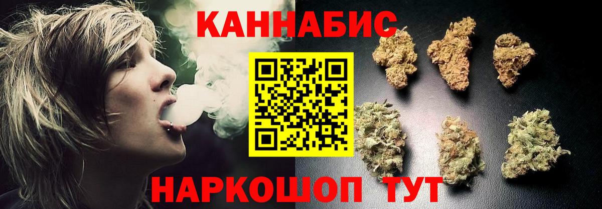 Канабис гибрид Курчалой